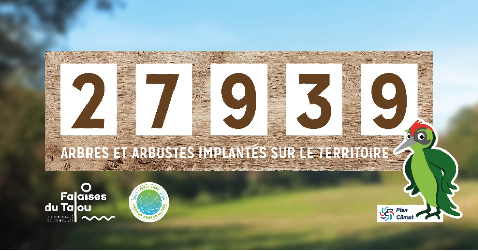 Compteur arbres plantés à Falaises du Talou