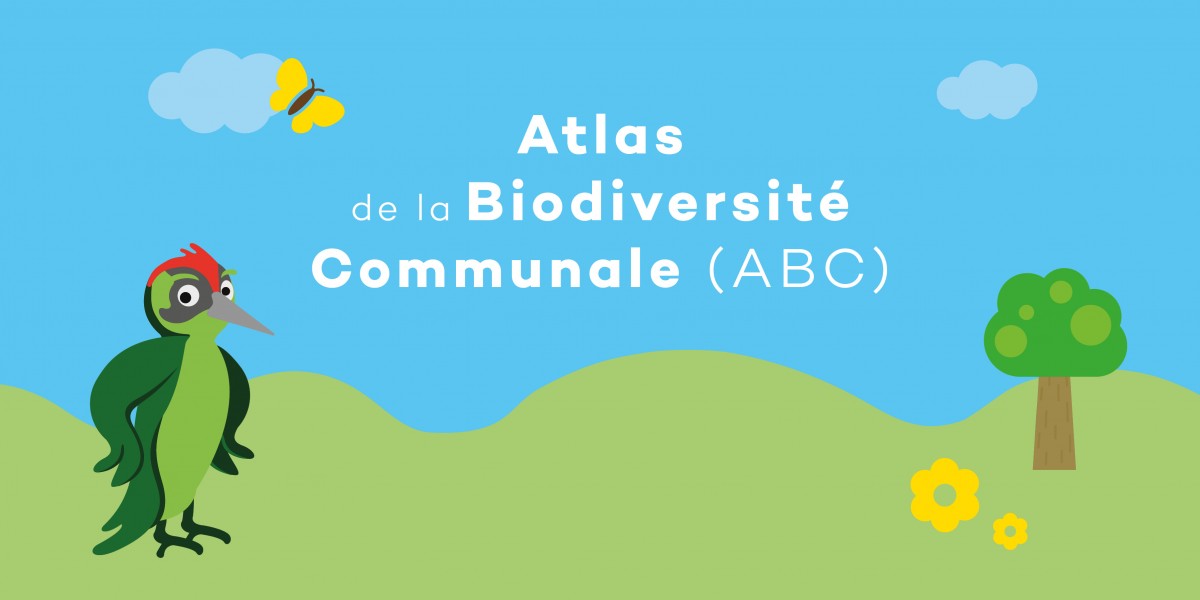 Développement Durable Développement Durable