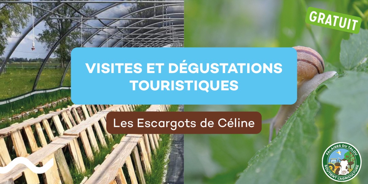 Visite des producteurs - Escargots de Céline Visite des producteurs - Escargots de Céline