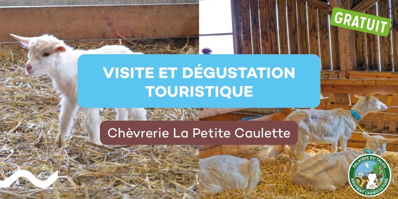 Visite des producteurs - Chèvrerie La Petite Caulette