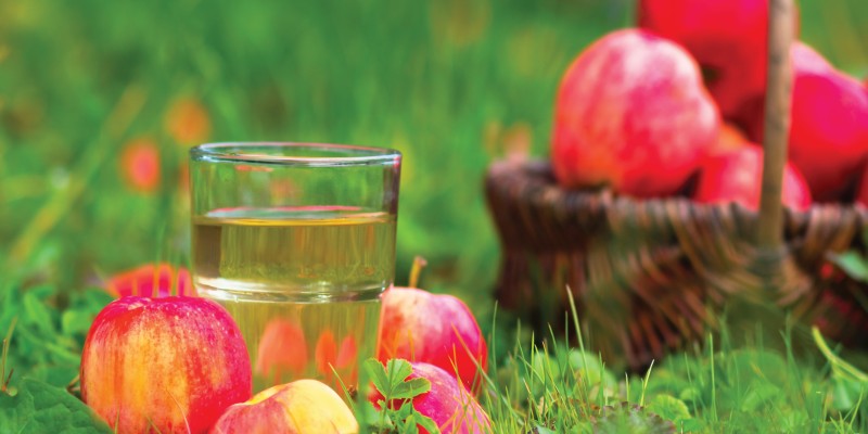 Atelier jus de pommes
