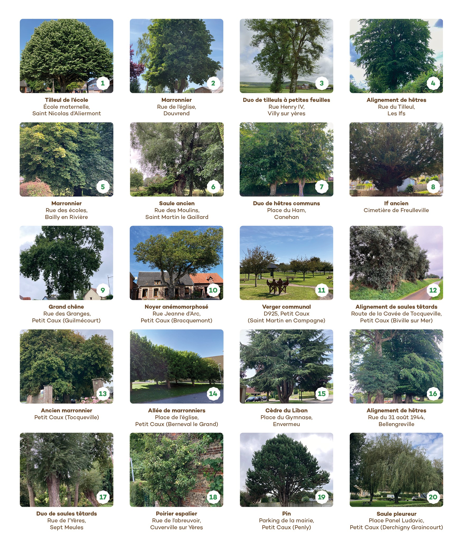 ArbresRemarquables liste