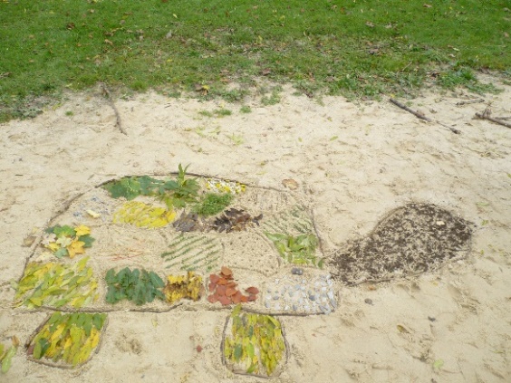 tortue