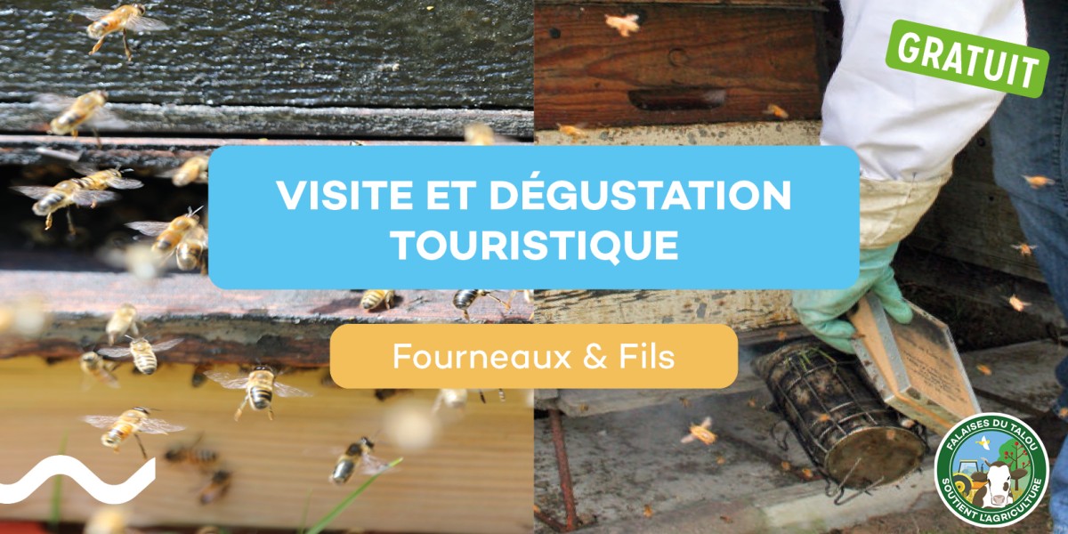 Visite des producteurs