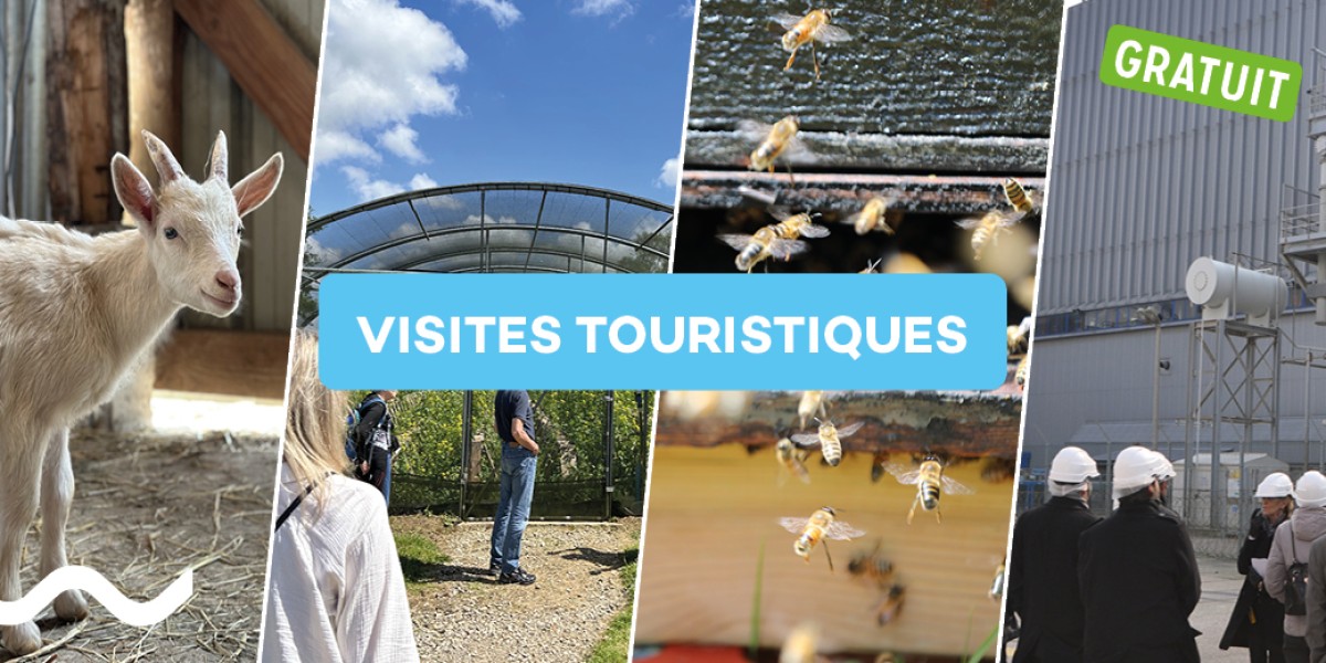 Visites touristiques et des producteurs